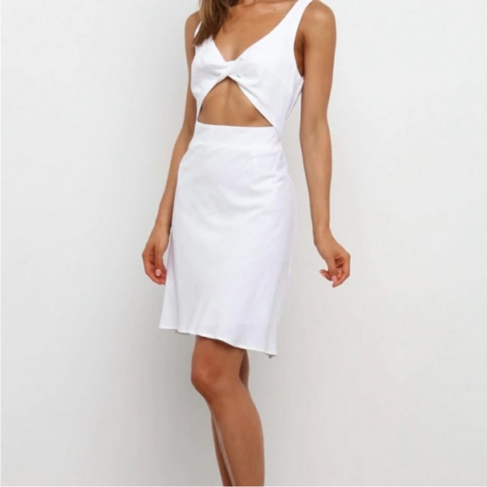 Petal and Pup Fallie Dress (mini style)